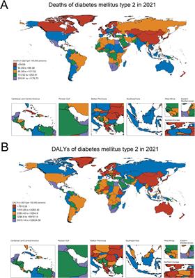 Global burden of type 2 diabetes mellitus from 1990 to 2021, with projections of prevalence to 2044: a systematic analysis across SDI levels for the global burden of disease study 2021
